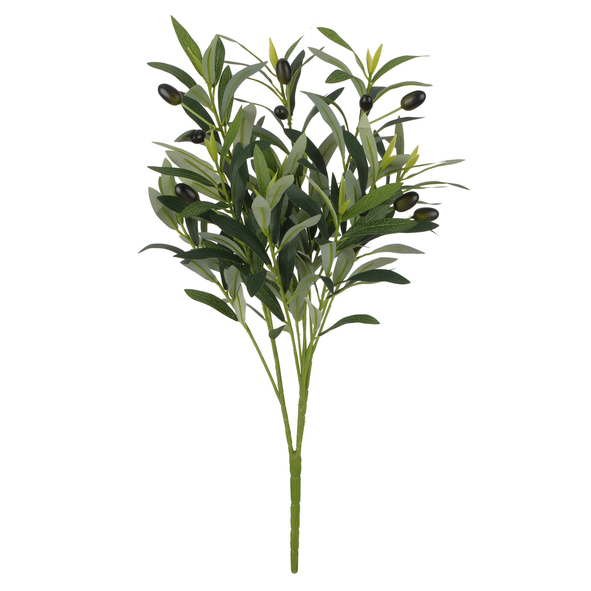 23" Olive Bush by Ashland®